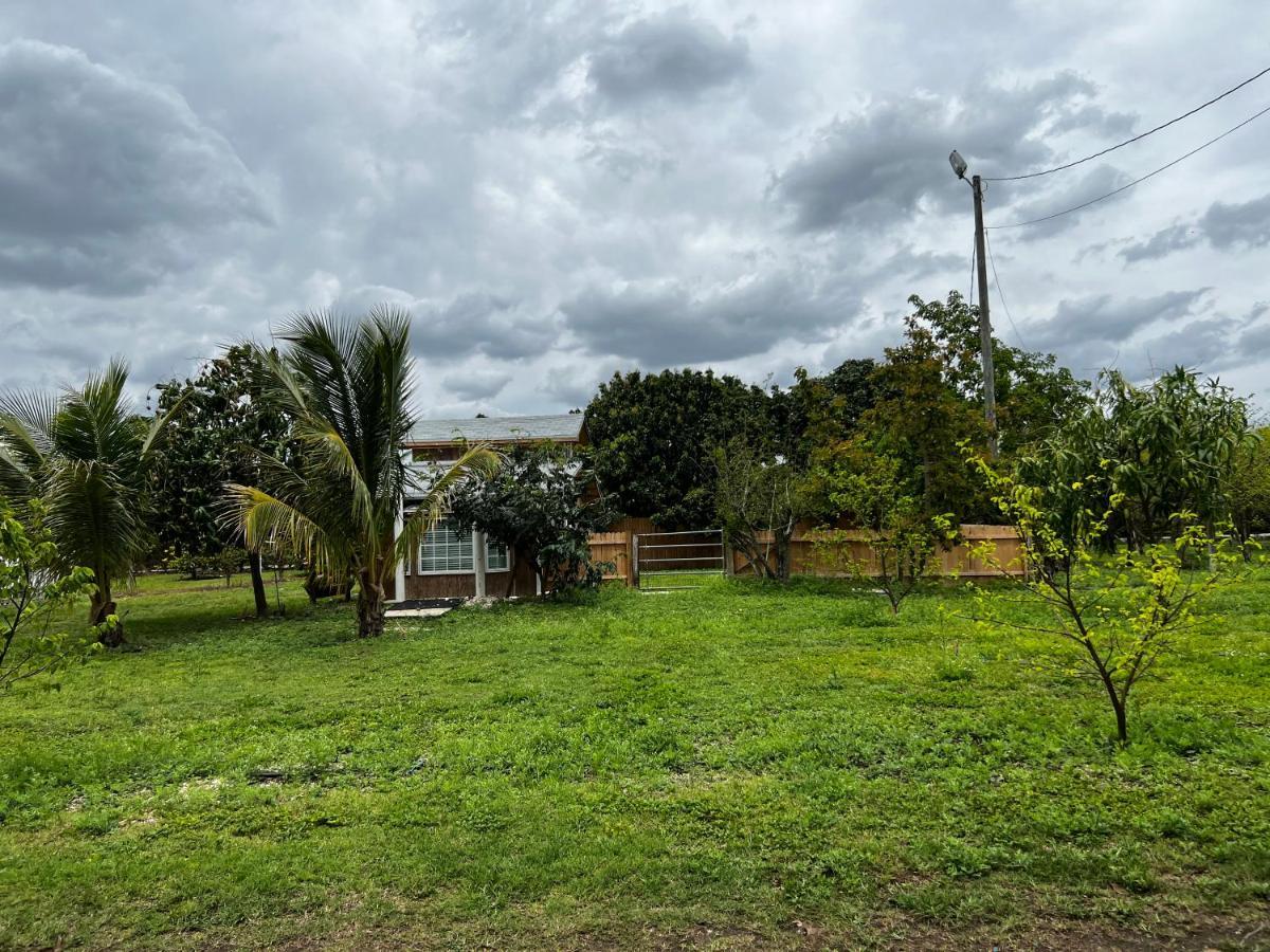 Maria'S Tiny Barn Guest House Homestead Exterior photo