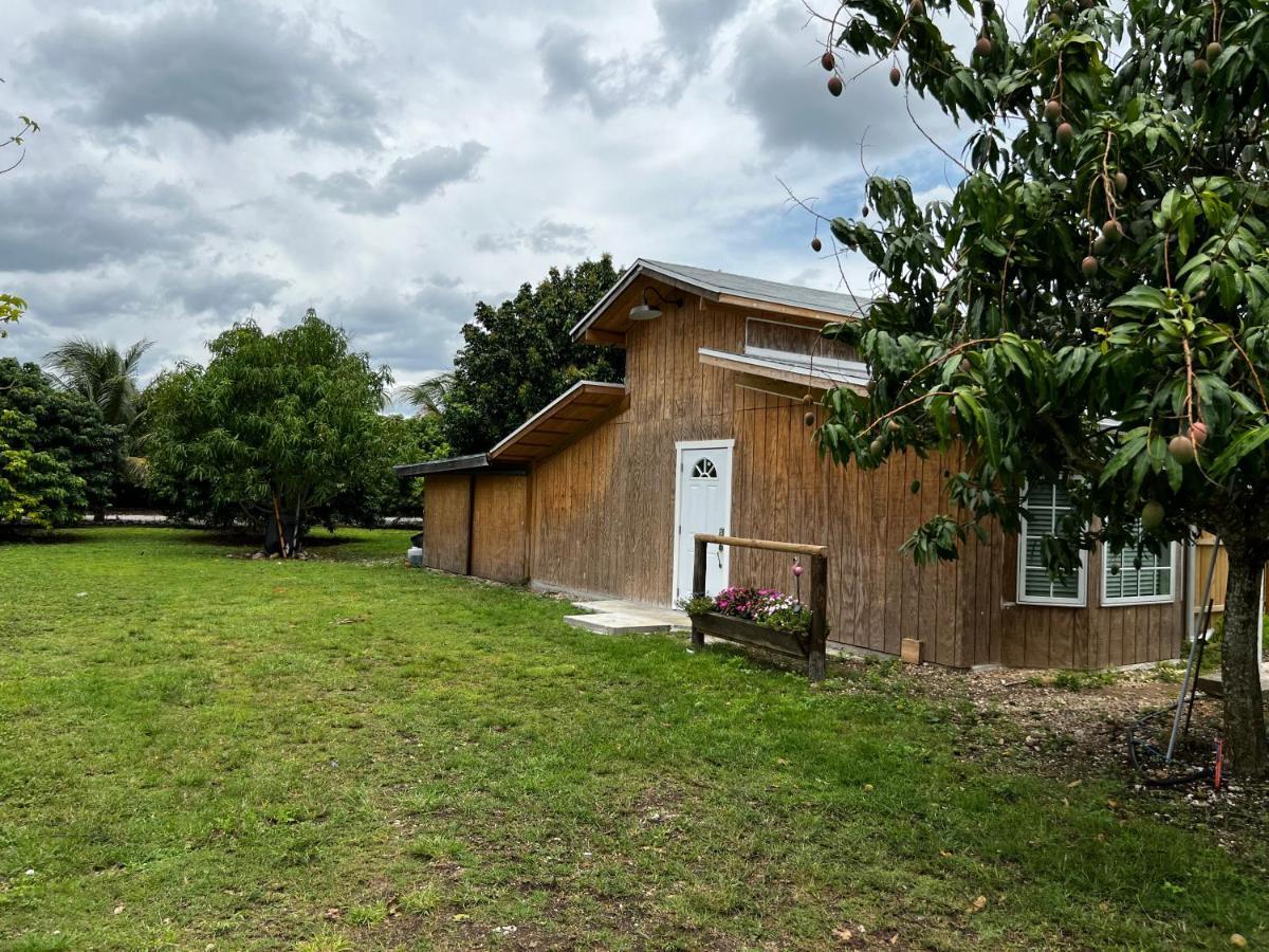 Maria'S Tiny Barn Guest House Homestead Exterior photo